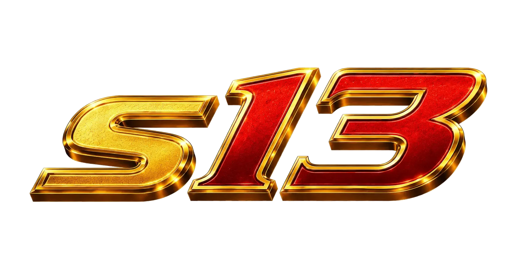 Logo s13